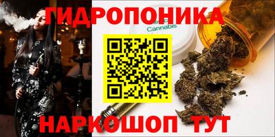 a pvp Абакан