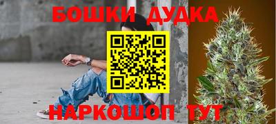 гидропоника Будённовск