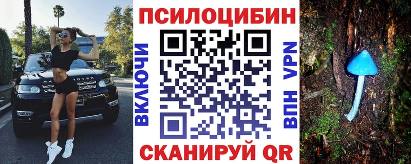 наркотики Апшеронск блэк спрут маркетплейс Псилоцибиновые грибы Cubensis