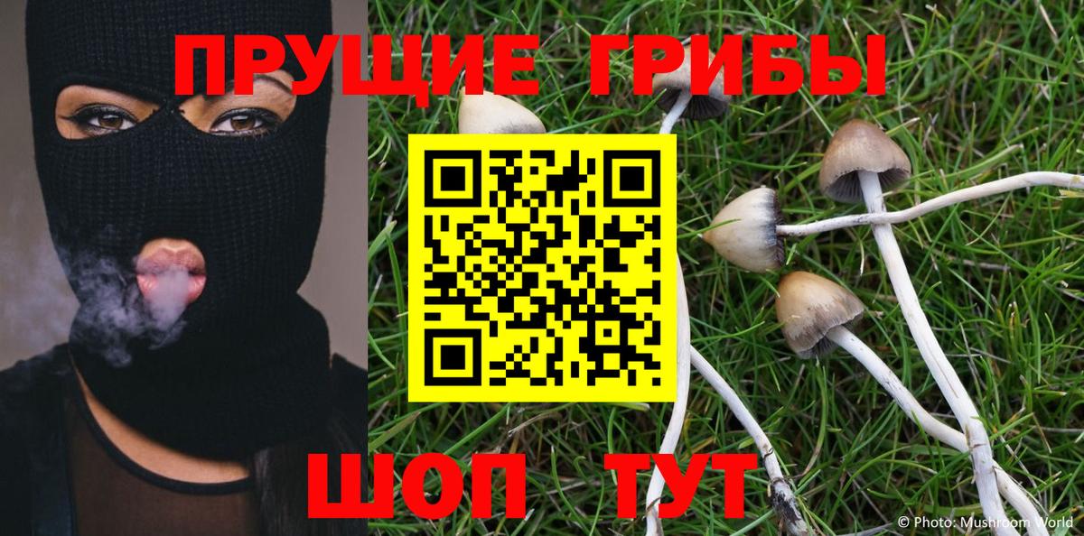 Псилоцибиновые грибы Psilocybe  Вход с VPN  Апшеронск  Псилоцибиновые грибы Psilocybine cubensis 