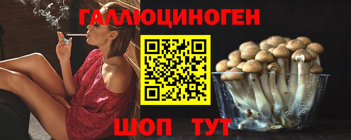 Апшеронск  Псилоцибиновые грибы GOLDEN TEACHER  Галлюциногенные грибы мицелий  магазин    Вход с VPN 